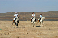 Morocco-Morocco-Splendor of Marakesh